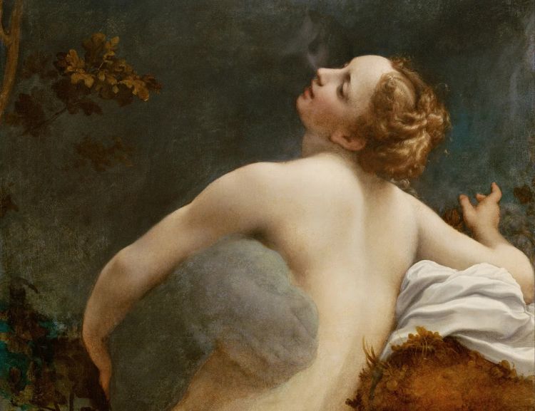 Metamorfosen in de kunst

Correggio, Jupiter en Io (detail), ca. 1530, Wenen, Kunsthistorisches Museum 