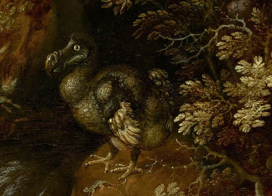 Roelant Savery

Roelant Savery, Dodo, detail uit: Orpheus betovert de dieren met muziek, 1627, Den Haag, Mauritshuis 